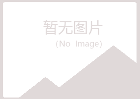 大新县雅彤水泥有限公司